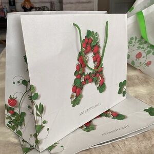 Anthropologie White and Green Women's Bag x 3